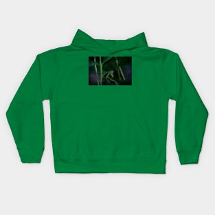 Praying Mantis Kids Hoodie